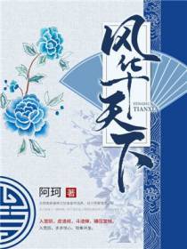 风华天下