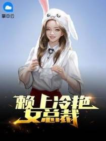 赖上冷艳女总裁（杨牧苏紫嫣）