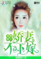 宠婚撩人：娇妻不下嫁