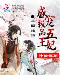神偷驾到：盛宠极品五王妃