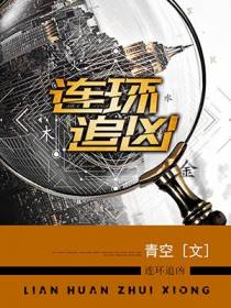 连环追凶