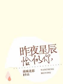 昨夜星辰恰似你