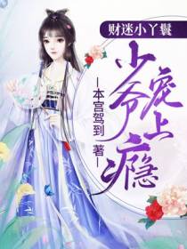 财迷小丫鬟：少爷宠上瘾