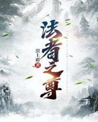 法者之尊
