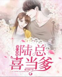 豪门替嫁：陆总喜当爹