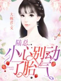 陆总，小心别动了胎气