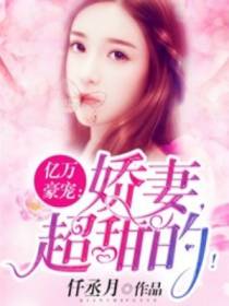 亿万豪宠：娇妻，超甜的！