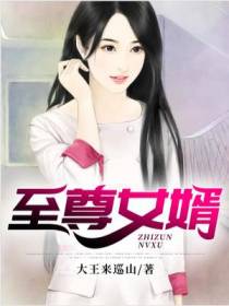 至尊女婿(超级王者)