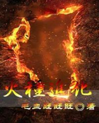 火种进化