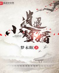 逍遥小赘婿