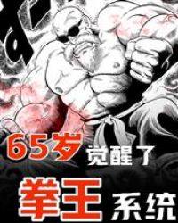 65岁觉醒了拳王系统