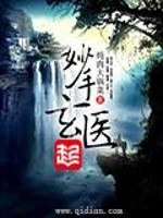 妙手玄医