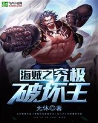 海贼之究极破坏王