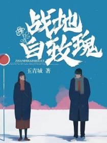 战地白玫瑰