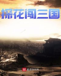 探花闯三国