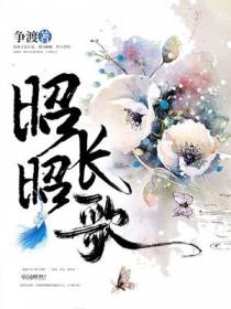 昭昭长歌