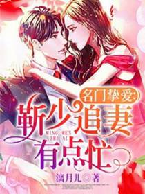 名门挚爱：靳少追妻有点忙