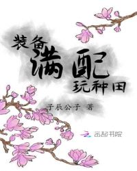 装备满配玩种田