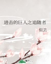 进击的巨人之追随者