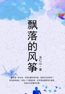 飘落的风筝