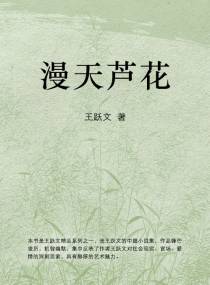 漫天芦花
