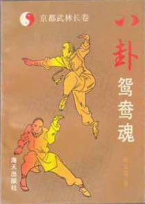 京都武林长卷——八卦鸳鸯魂