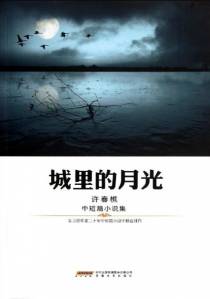 城里的月光