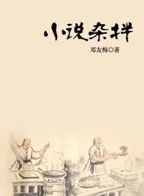 小说杂拌
