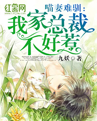 顾千夜苏梓