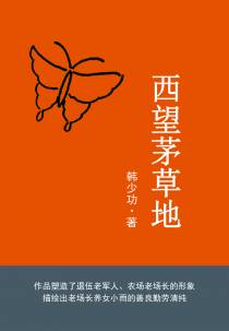西望茅草地