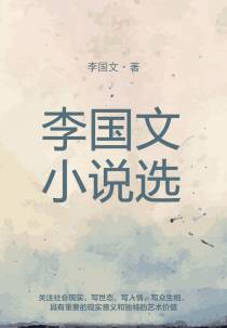 李国文小说选
