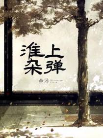 淮上杂弹