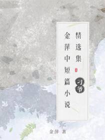 刁爷：金萍中短篇小说精选集