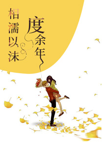 乔以沫傅司年小说