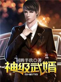 神级武婿