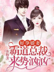 好孕娇妻：霸道总裁来势汹汹