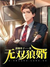 无双狼婿