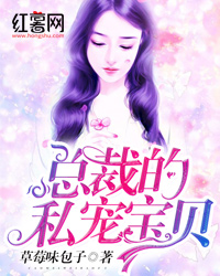 叶寒苏洛晴
