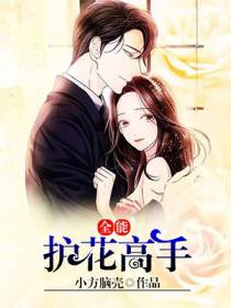 全能护花高手