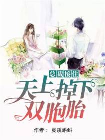 总裁接住，天上掉下双胞胎温舒潼