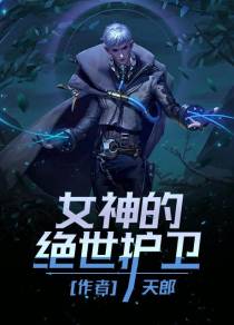 女神的绝世护卫石天