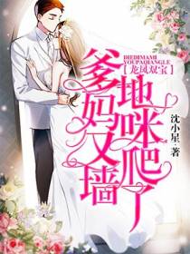 沈星辰容恒曜