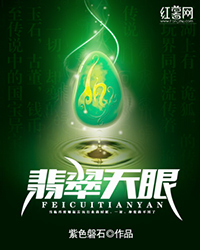 主角林锐的小说