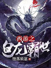 白龙的小说
