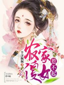 林佳的小说