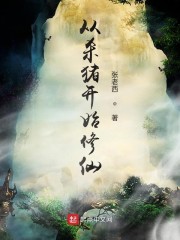 主角张奎的小说