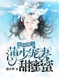 帝国萌宝：薄少宠妻甜蜜蜜薄夜