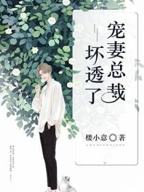 宠妻总裁坏透了沐暖暖慕霆枭