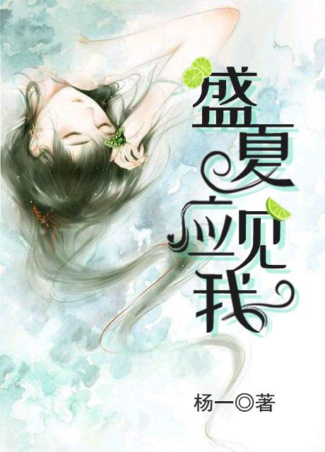 盛夏应见我席铮林盛夏