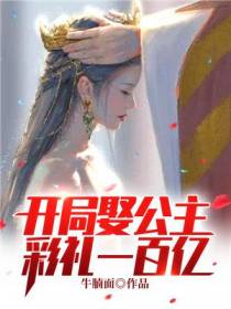 开局娶公主，彩礼一百亿